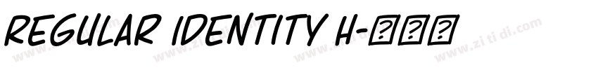 Regular Identity H字体转换 Regular Identity H字体转换